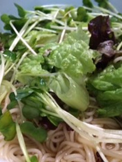 さっぱり黒酢のサラダそうめん-レシピのメイン写真