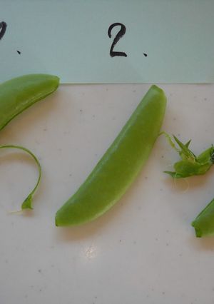 ✿豆の筋取りの仕方✿-レシピのメイン写真