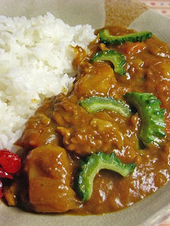 甘口・ゴーヤカレー-レシピのメイン写真