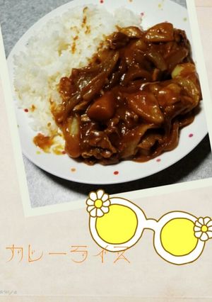 私好み♪どろどろカレーライス♪♪-レシピのメイン写真