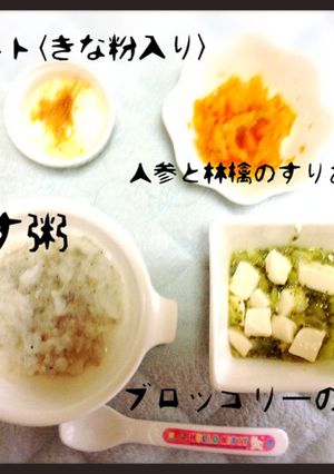 離乳食中期 ブロッコリーの豆腐煮-レシピのメイン写真