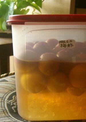 ６月の楽しみ♫梅酢を作ろう　材料は３つ-レシピのメイン写真