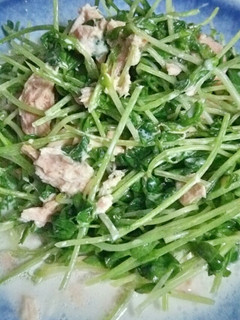 豆苗とシーチキンのマヨサラダ-レシピのメイン写真
