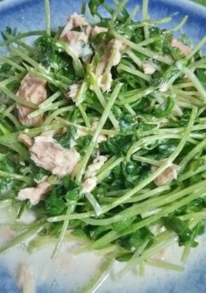 豆苗とｼｰﾁｷﾝのﾏﾖｻﾗﾀﾞ-レシピのメイン写真
