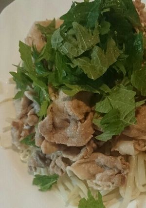 豚肉ともやしの簡単サッパリサラダ-レシピのメイン写真