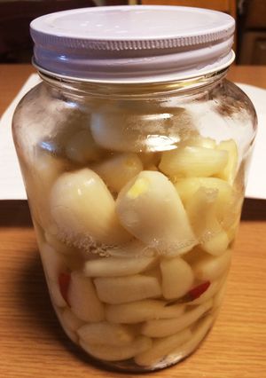 らっきょうの塩漬け-レシピのメイン写真