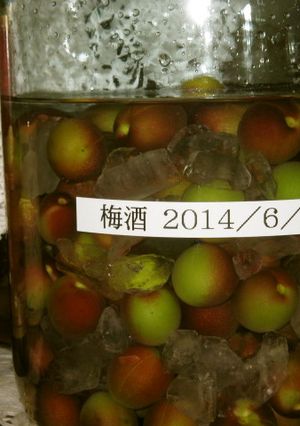 パープルクィーンで梅酒(覚書)-レシピのメイン写真