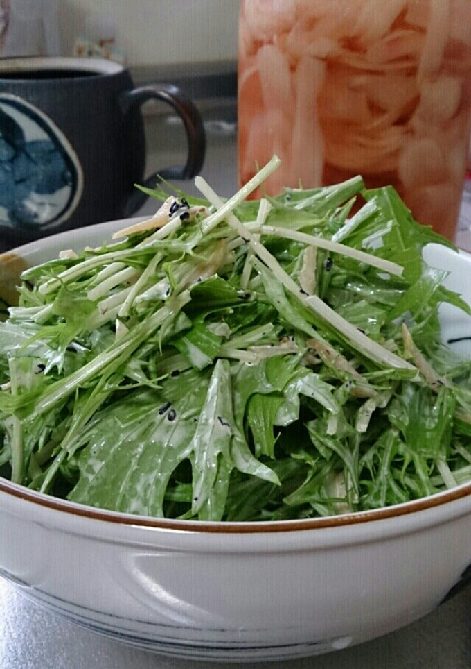 しょうがの甘酢漬けと水菜の和え物-レシピのメイン写真