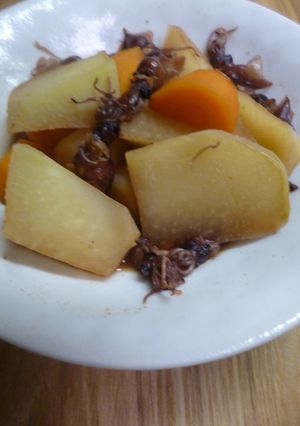 コールラビとほたるいかの煮物-レシピのメイン写真