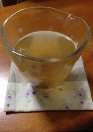 梅シロップ ~お酢入りで発酵しません~-レシピのメイン写真