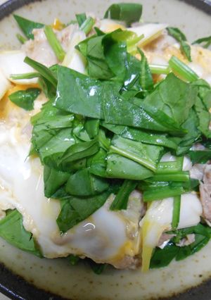 豆腐入り豚丼・サラダほうれん草のせ-レシピのメイン写真