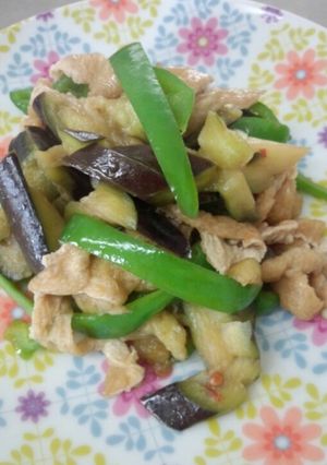 ナスとピーマンの豆板醤炒め-レシピのメイン写真