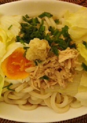 讃岐うどんで冷やしサラダうどん-レシピのメイン写真