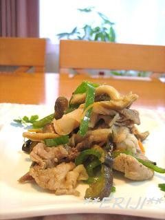 豚肉と茄子とピーマンの炒め物~♪♪-レシピのメイン写真