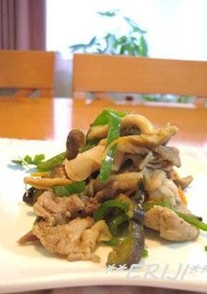 豚肉と茄子とピーマンの炒め物～♪♪-レシピのメイン写真