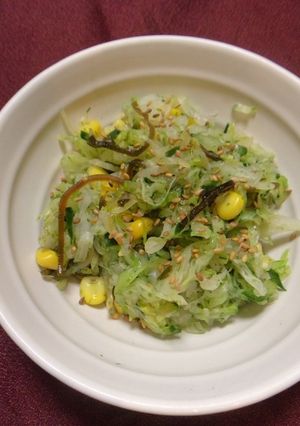 春キャベツのごま塩昆布和え-レシピのメイン写真