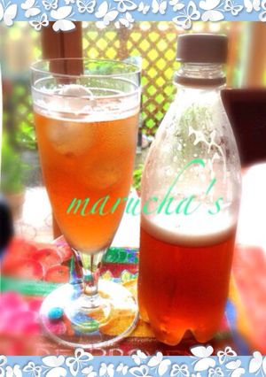＊炭酸ハーブティー ・炭酸が簡単に！-レシピのメイン写真