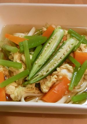 山菜赤みずとオクラうどん-レシピのメイン写真