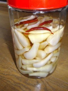 らっきょうの塩、酢漬け-レシピのメイン写真