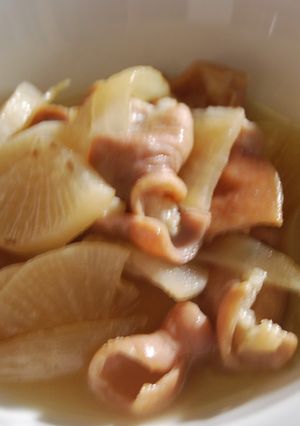 豚もつと大根の白ワイン煮込み-レシピのメイン写真