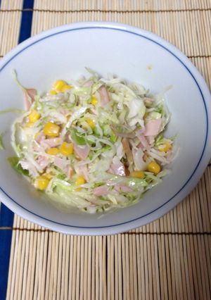 野菜もりもり⭐︎コールスローサラダ-レシピのメイン写真