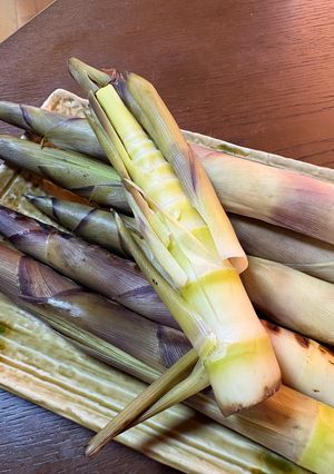 月山筍のグリル焼き-レシピのメイン写真