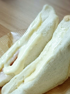 レンジでホットサンド?!-レシピのメイン写真