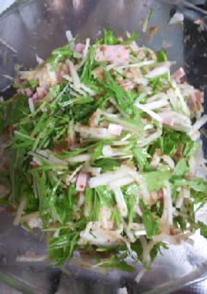 大根と水菜のサラダ-レシピのメイン写真