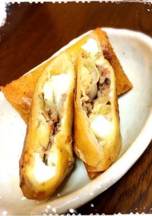 ブラジルの揚げ物 パステウ風春巻き。-レシピのメイン写真