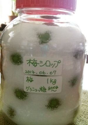 家の梅シロップ＊梅ジュース♪-レシピのメイン写真
