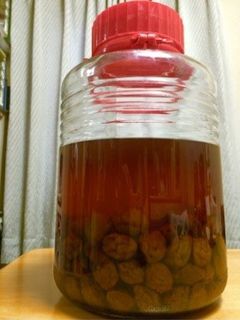 せつ婆ちゃんの農協ハチミツ梅シロップ-レシピのメイン写真