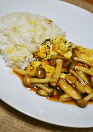ボリューム満点　豆腐ハンバーグご飯☆-レシピのメイン写真