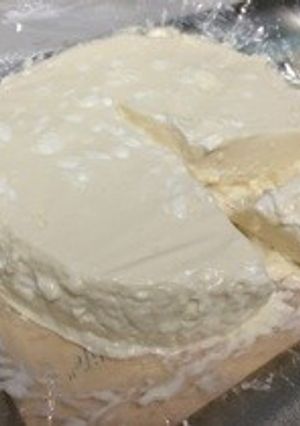 豆乳レアチーズケーキ-レシピのメイン写真