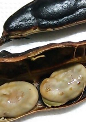 お手軽ウマい！焼きそら豆☆-レシピのメイン写真