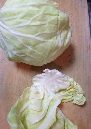 キャベツの消費のしかた-レシピのメイン写真