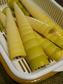 はちく筍*下処理♪-レシピのメイン写真