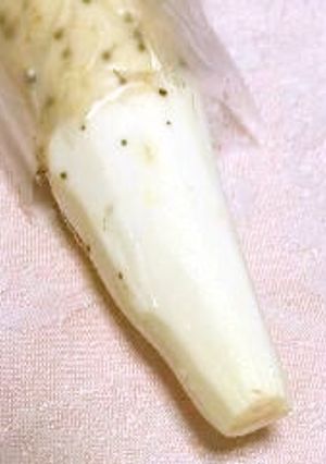 手がかゆくならない私流♬長芋のむき方-レシピのメイン写真