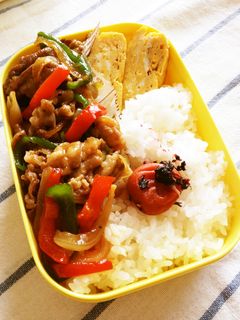 豚コマで、焼肉弁当-レシピのメイン写真