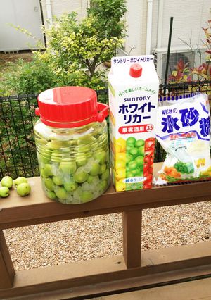 梅酒 簡単すぎた〜-レシピのメイン写真