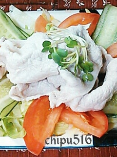 20分簡単 夏バテ解消! 我がの冷しゃぶ-レシピのメイン写真