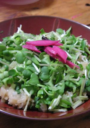 ちょっとﾋﾟﾘﾘ☆おかかねぎご飯-レシピのメイン写真
