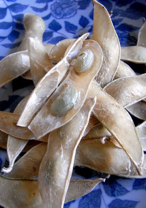 残った茹で枝豆を干すだけ☆枝豆ジャーキー-レシピのメイン写真