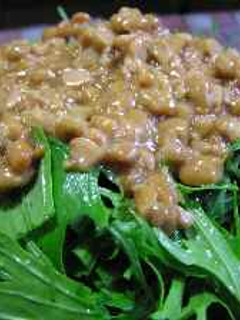 水菜の納豆ドレッシング-レシピのメイン写真