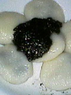 つるん♪こっくり♪黒胡麻白玉-レシピのメイン写真