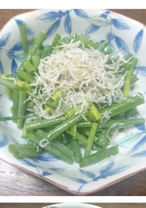居酒屋風おつまみ-レシピのメイン写真