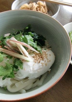 夏に♪ぶっかけうどん☆と☆サラダうどん♪-レシピのメイン写真