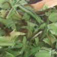 ☆簡単☆もずくスープ♪便秘にも♪