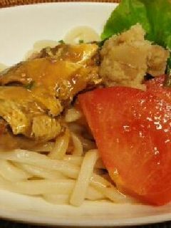 魚缶で味噌冷やしうどん-レシピのメイン写真