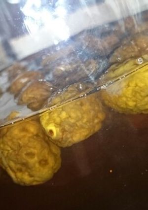 梅シロップ-レシピのメイン写真