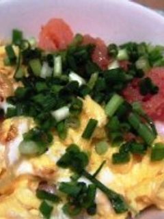 めんたま丼-レシピのメイン写真